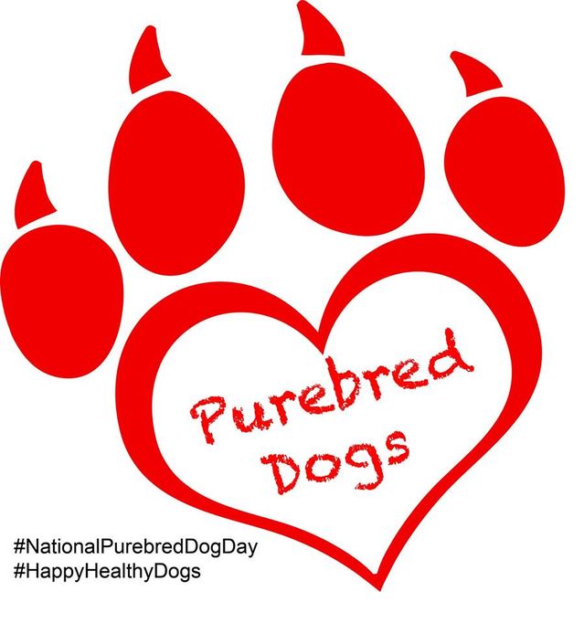 It's National Purebred Dog Day | Psychology Today
