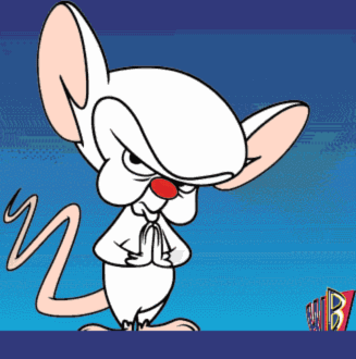 pinky and the brain take over the world