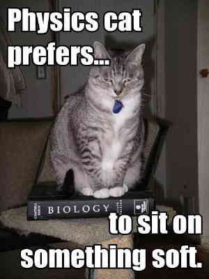 physics cat hard sciences versus soft sciences physics versus biology