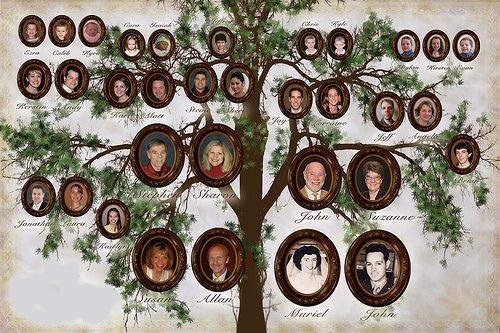 The Eight Great Grandparents Psychology Today The Eight Great Grandparents Psychology Today