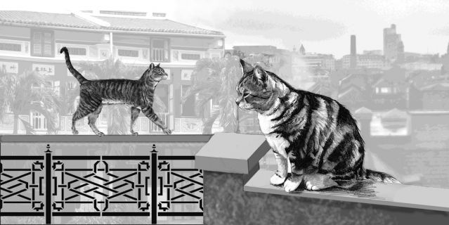 Pet cats from around the globe share 13 key genes Pet cats from around the globe share 13 key genes