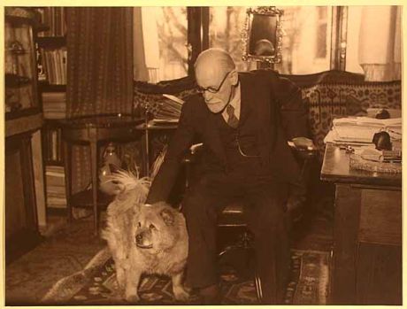 Image result for freud dog chun images