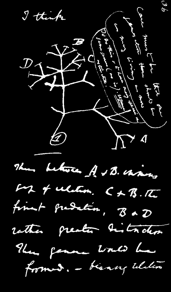 Natural Selection And The Race Problem Natural Selection And The Race Problem