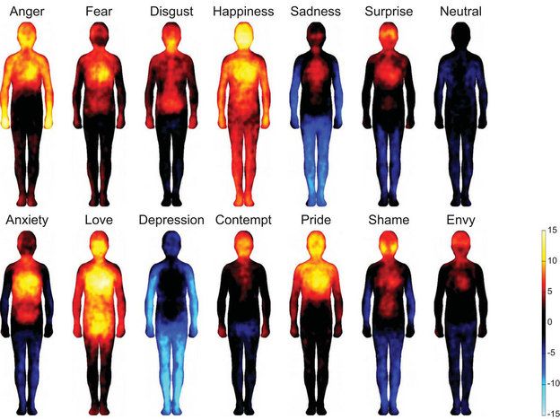 Researchers Map Body Areas Linked to Specific Emotions | Psychology Today