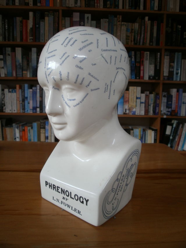 So You Want to Be a Neuropsychologist? Psychology Today