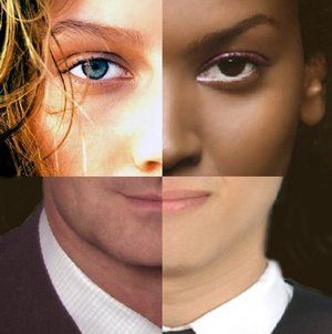 stress and health psychology essay stress and health psychology essay