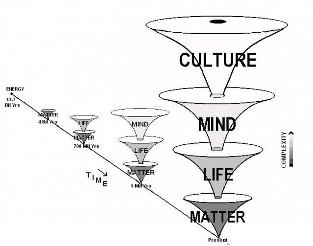 Figure 1. The Tree of Knowledge System