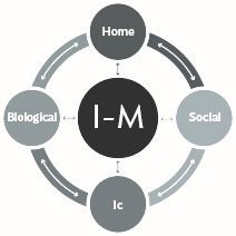 The Four Domains of the I-M