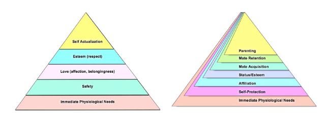 Classic vs Renovated Pyramids. Original by Douglas T. Kenrick