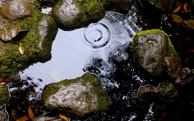 Luca Bravo/Unsplash Luca Bravo/Unsplash