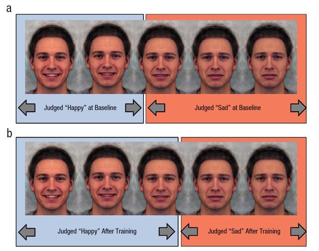  A possible target for psychological intervention? Current Directions in Psychological Science, 26, 294-301.