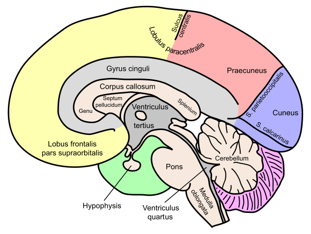 The Creation Of God Psychology Today