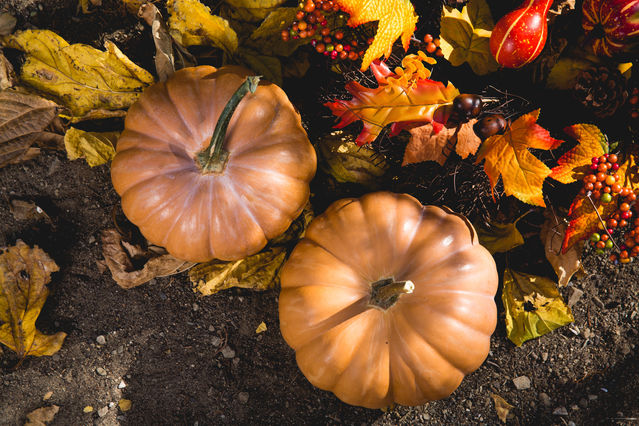 Pexels free stock photos Pexels free stock photos