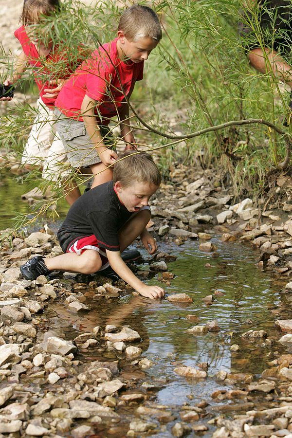 Get Kids Outdoors To Improve Mental And Physical Well Being