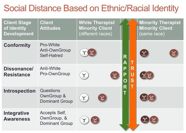 Adapted from Parham, Ajamu, & White (2011) / M. Williams Adapted from Parham, Ajamu, & White (2011) / M. Williams