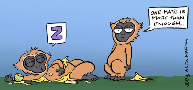 Original cartoon by Alex Martin Original cartoon by Alex Martin