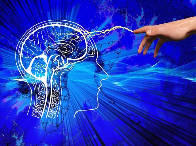 Neuroscience