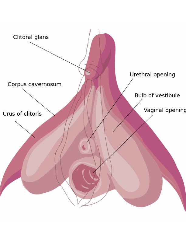 psychology today dating doctor hot sexy undressed females