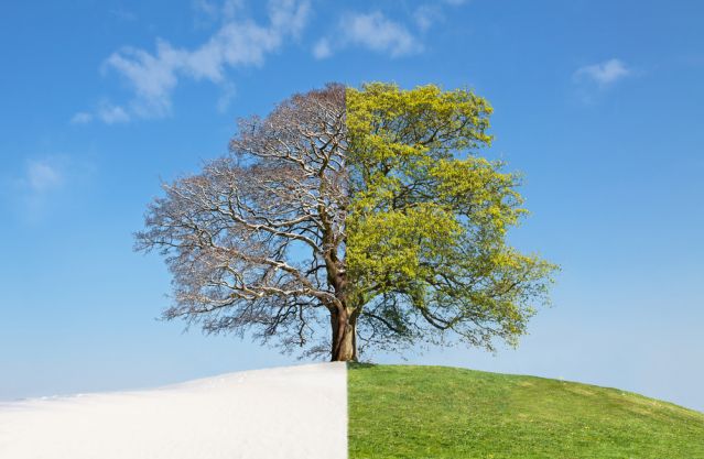 Elena Zajchikova/Shutterstock Elena Zajchikova/Shutterstock