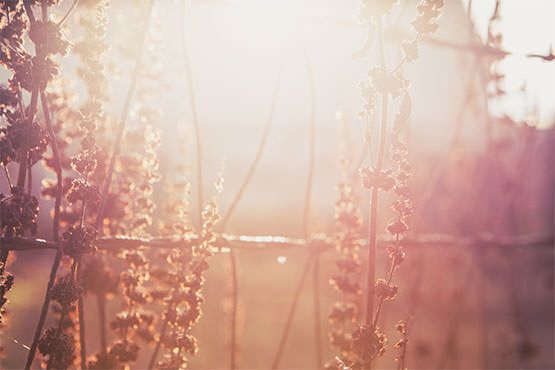 //Gratisography //Gratisography