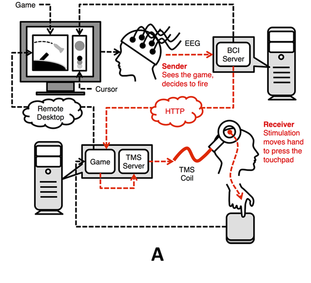 2014 Rao et al. (Creative Commons license) 2014 Rao et al. (Creative Commons license)