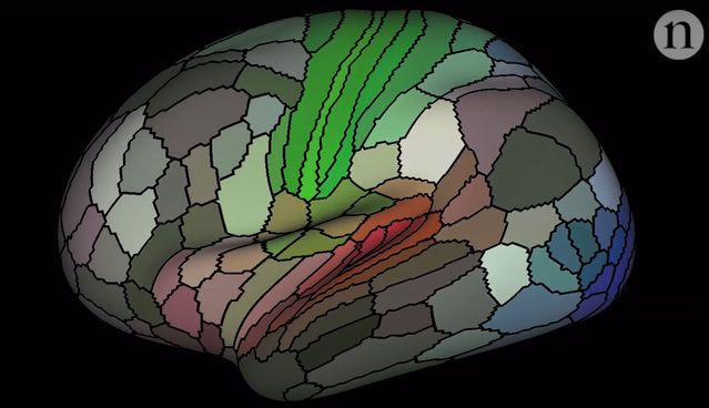 A Map of the Brain That Is Unlike Anything Seen Before | Psychology Today