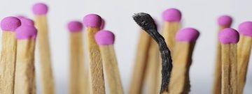 AFPics/Shutterstock AFPics/Shutterstock