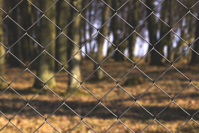 freestocks.org/Unsplash freestocks.org/Unsplash