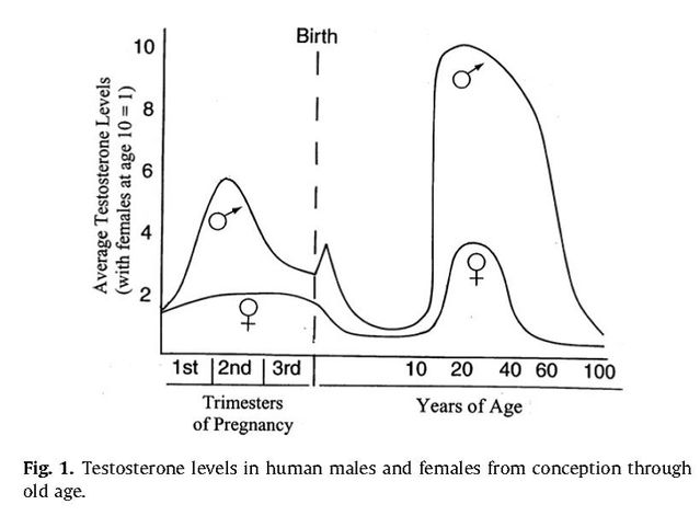 Ellis, L. (2011). Identifying and explaining apparent universal sex differences in cognition and behavior. Personality and Individual Differences, 51, 552-561.