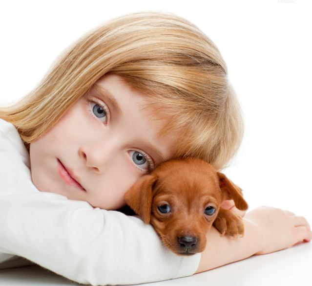 best puppies for toddlers to grow up with