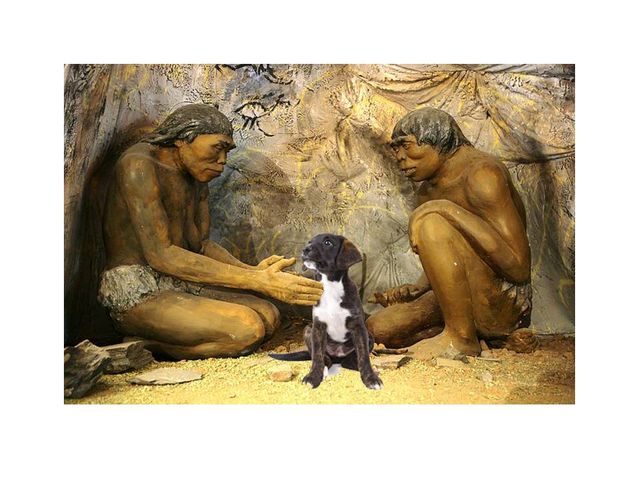 Is Emotional Attachment to Dogs a Modern Development? | Psychology Today