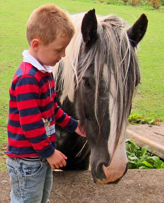 Animal Assisted Play Therapy: An Integrative Approach Psychology Today
