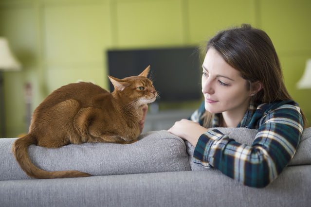 Do Children with Cats Have More Mental Health Problems? | Psychology Today