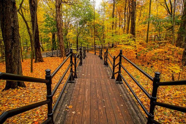 Troubling Transitions: 10 Tips for Coping with Change