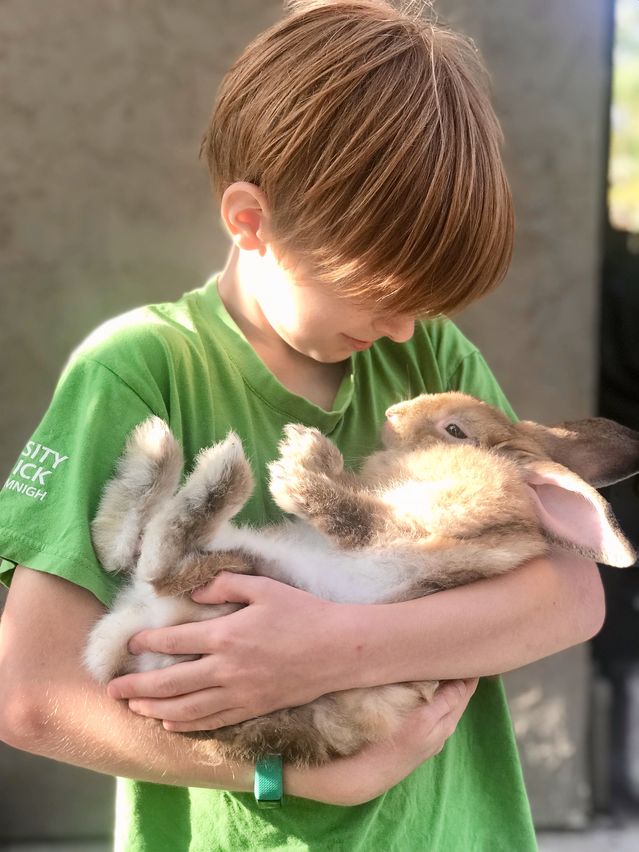 Is the Answer to All Our Stress and Illness More Kindness? | Psychology ...