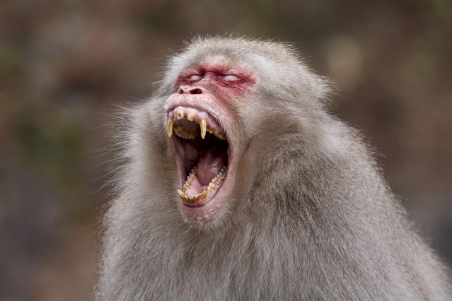 Anxiety, Anger and Adrenaline | Psychology Today