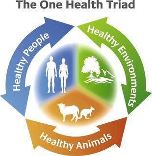 On International Animal Rights Day, Be Benevolent to All