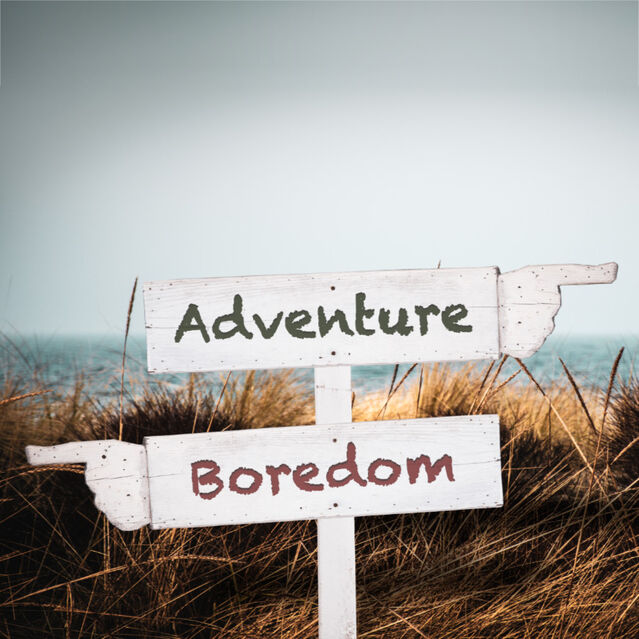 When the Novelty Wears Off Psychology Today South Africa