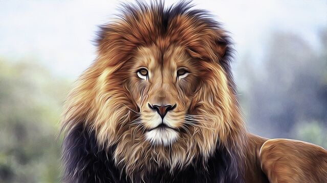 Trophy Hunters Exposed Inside The Big Game Industry Psychology Today