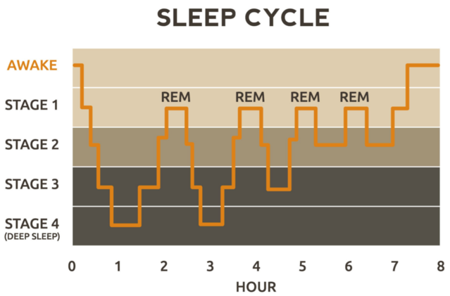 average time in rem sleep