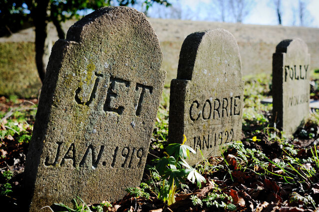 charlotte pet cemetery & crematory