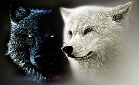 Feed the Wolf of Love | Psychology Today