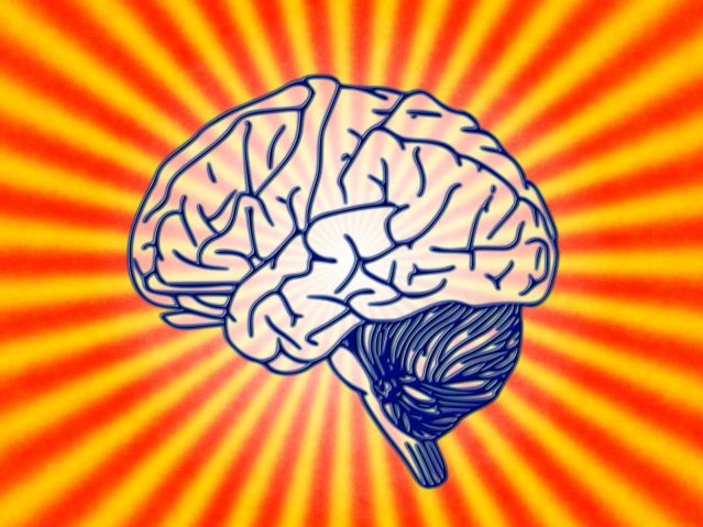 The Cerebellum, Cerebral Cortex, and Autism Are Intertwined