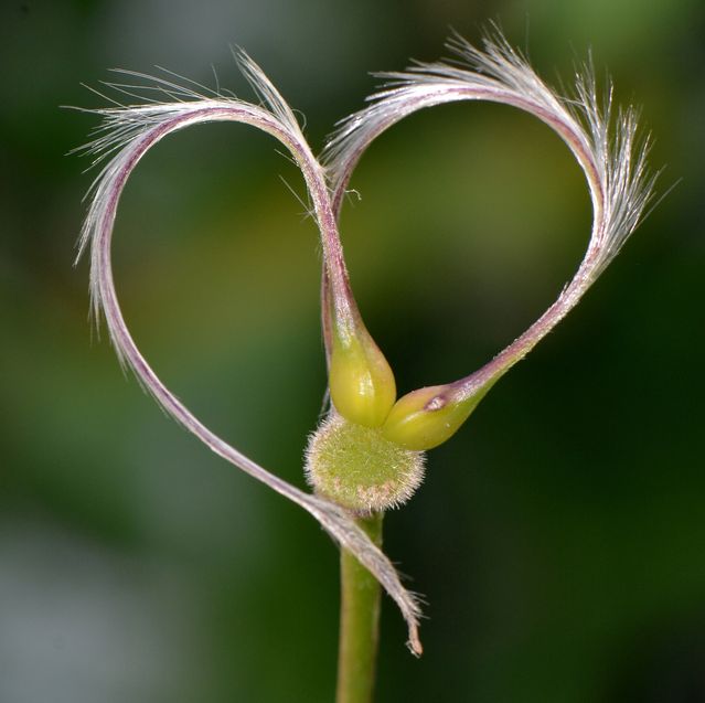 Soliphilia and Other Ways of Loving a Planet | Psychology Today