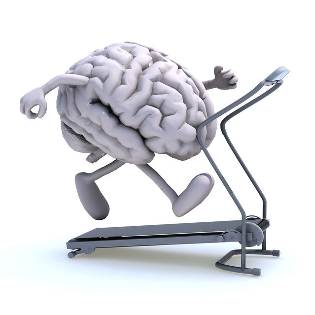 Study Aerobic Exercise Leads To Remarkable Brain Changes - 