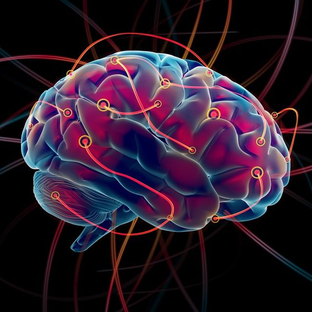 How Do Neuroplasticity and Neurogenesis Rewire Your Brain? | Psychology