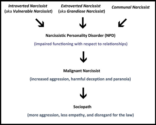 Narcissistic personality disorder partner