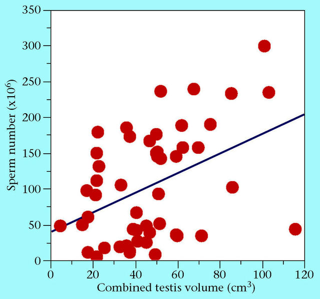 Adapted from a figure in Simmons et al. (2004). Adapted from a figure in Simmons et al. (2004).