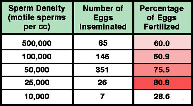 Adapted from a figure in Wolf et al. (1984). Adapted from a figure in Wolf et al. (1984).