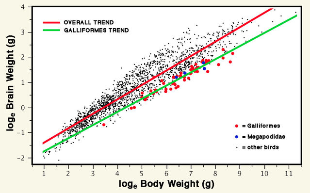 Adapted from a graph kindly provided by Karin Isler. Adapted from a graph kindly provided by Karin Isler.